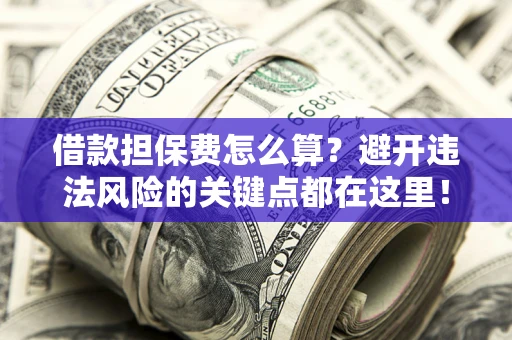 济南借款担保费怎么算？避开违法风险的关键点都在这里！