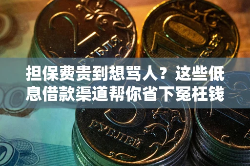 济南担保费贵到想骂人？这些低息借款渠道帮你省下冤枉钱