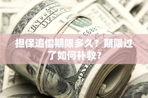 济南担保追偿期限多久？期限过了如何补救？